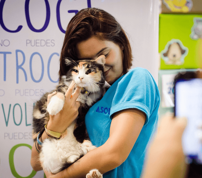 Voluntaria con gato ASODEPA