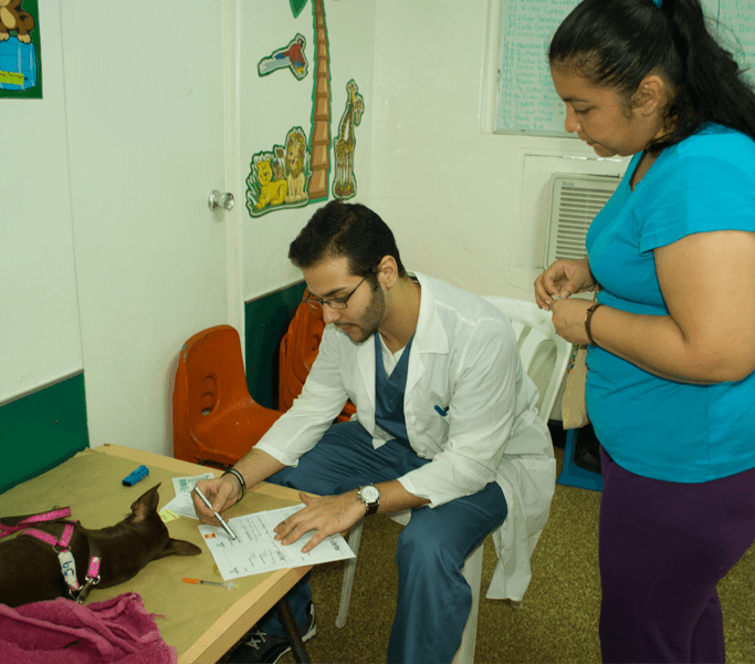 Veterinario en consulta ASODEPA